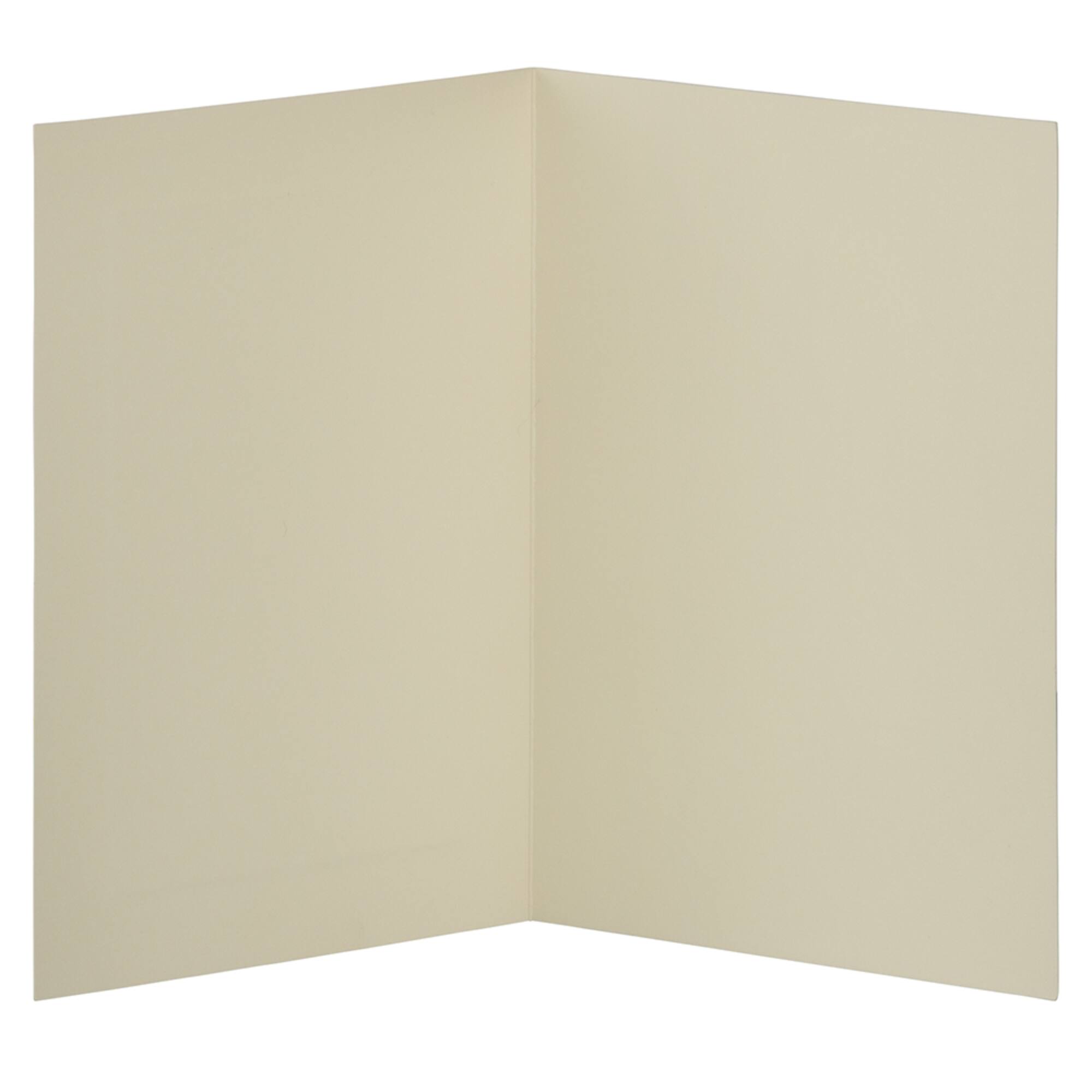 JAM Paper 4.62" x 6.25" Ivory Panel Blank Foldover Cards